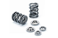 Dual Valve Spring Kit