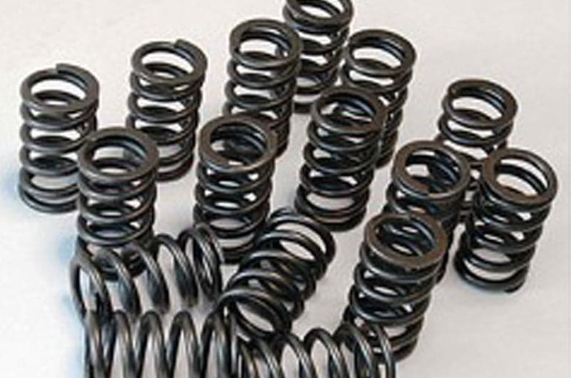 HKS 1991-2000 Nissan Infiniti G20 SR20DET Outer Valve Spring Set (hks22001-AN002)