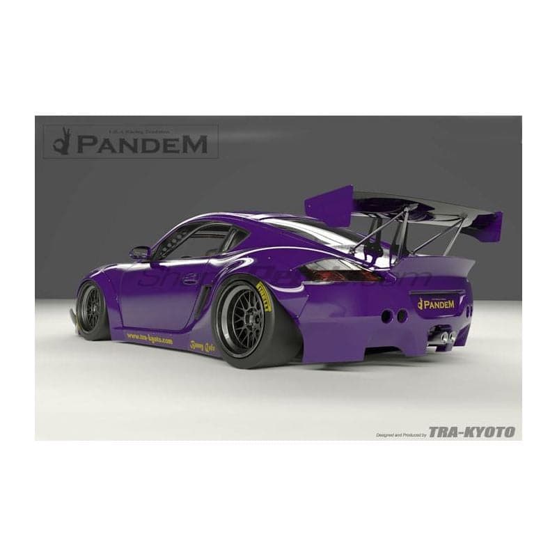 Pandem RB 09-12 Porsche Cayman Solo guardabarros delanteros y traseros